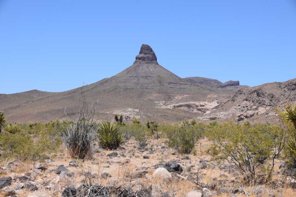 DSC_0224Mittel_.JPG